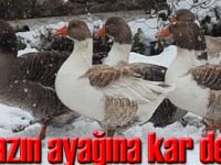 Veziköprü'de kar 20 santimetreye ulaştı