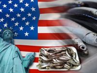 Amerika Hamsi istiyor