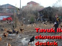 Tavuk ile ailesini geçindiriyor