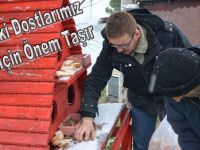 Doğadaki Dostlarımız Bizim İçin Önem Taşır