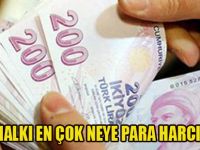 Bakın Türkler en çok neye para harcıyor