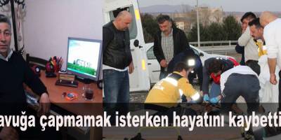 Tavuğa çarpmamak isteyen Muhtar kazada öldü