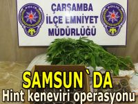 Çarşamba`da hint keneviri operasyonu