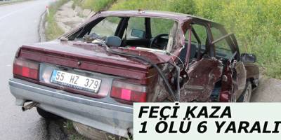 Feci kazada 1 ölü 6 yaralı