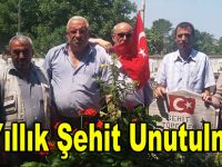 Şehit Kabri Başında Anıldı