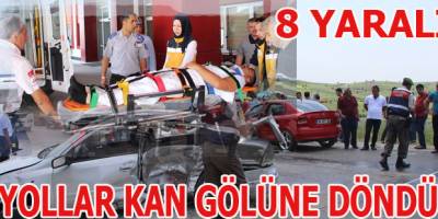 Havzada kaza 8 yaralı