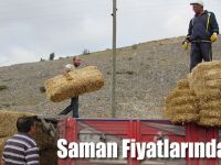 Saman Fiyatlarında Düşüş