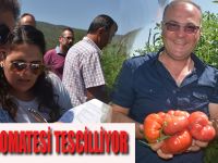 Boyabat Domatesini Tescilliyor