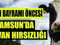 Kurban öncesi 40 baş hayvan çaldılar