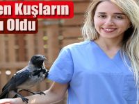 Göçmen Kuşların Kanadı Oldu