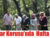 Çakırlar Korusu’nda Hafta sonu