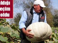 Tatilde aldığı tohum geçim kaynağı oldu