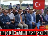 ALAÇAMDA ÇELTİK TARIMI HASAT ŞENLİĞİ YAPILDI