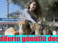 Kedilerin gönüllü dostu