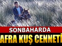 Bafra Kuş Cennetinde Sonbahar