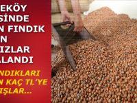 Fındık Hırsızları Yakalandı