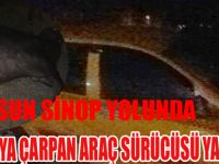 ALAÇAM YOLUNDA MANDAYA ÇARPAN ARAÇ SÜRÜCÜSÜ YARALANDI