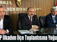 MHP İlkadım İlçe Toplantısına Yoğun Katılım