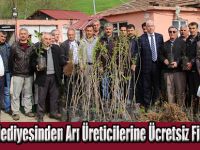 Alaçam Belediyesinden Arı Üreticilerine Ücretsiz Fidan Dağıttı