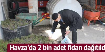 Havza'da 2 bin adet fidan dağıtıldı
