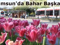 Samsun'da Bahar Başka Güzel