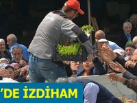 Gerze'de İzdiham