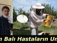 Çam Balı Hastaların Umudu