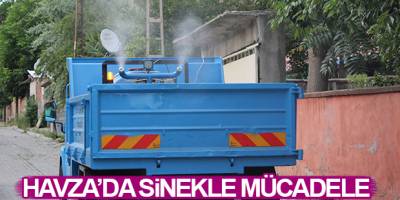 Havza'da sinekle mücadele