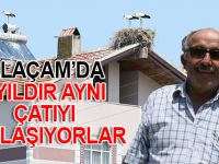 Evlerini çatıdaki leylek ailesiyle paylaşıyorlar