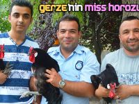 GERZE EN GÜZEL HOROZU SEÇTİ