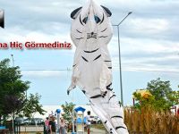 Böyle Uçurtma Hiç Görmediniz