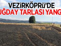 Vezirköprü'de Buğday Tarlası Yandı