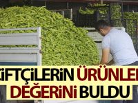 Çiftçilerin Ürünleri Değerini Buldu