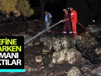 Define Ararken Ormanı Yaktılar