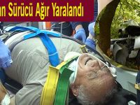 Ağaca Çarpan Sürücü Ağır Yaralandı