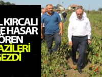 Vekil Kırcalı Selde Hasar Gören Arazileri Gezdi.