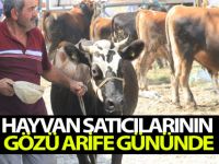 Hayvan Satıcılarının Gözü Arife Gününde