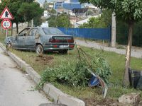 Köpeğe Çarpan Araç Sürücüsü Yaralandı