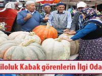 57 Kiloluk Kabak görenlerin İlgi Odağı Oldu