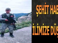Şehit Ateşi Samsun'a Düştü
