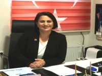 Bayan muhtardan iddalı açıklama