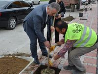 19 Mayıs’ta 400 Fidan Toprakla Buluşacak