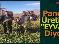 Pancar üreticisi “EYVAH” demeye başladı.