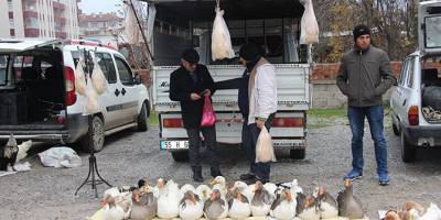 Kış Aylarının Vazgeçilmezi Tirit