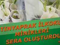 BARDAKTA FASULYE ÇİMLENDİRME