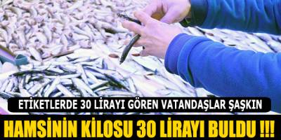 HAMSİNİN KİLOSU 30 LİRAYI BULDU !!!
