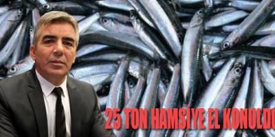 Terme'de 25 Ton Hamsiye El Konuldu