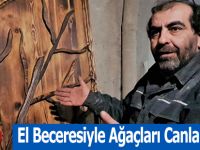 El Beceresiyle Ağaçları Canlandırıyor