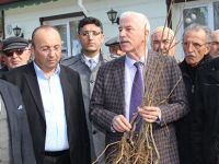 Alaçam'da Arı Üreticilerine Kestane Fidanı