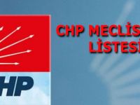 CHP BAFRA MECLİS ÜYE LİSTESİ